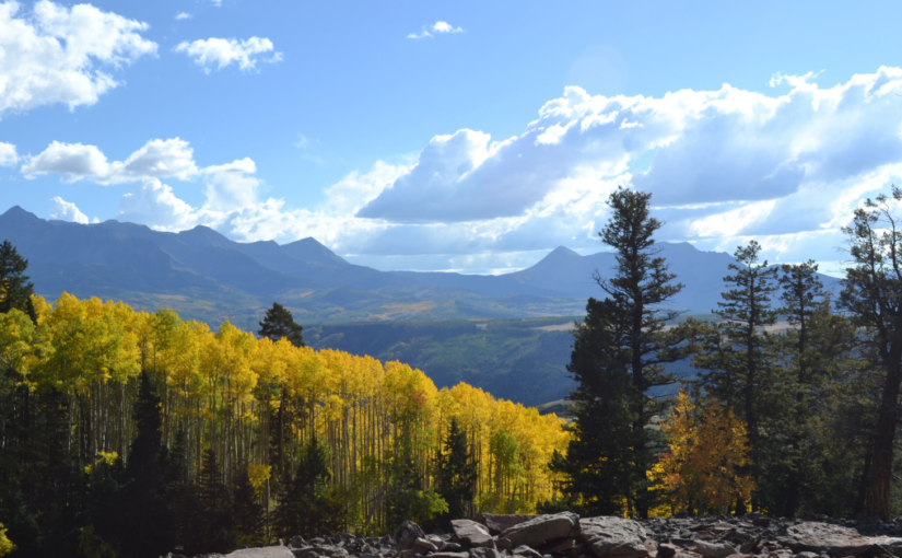 Idaho Springs PD Simplifies Compliance and Elevates Policing with CitizenContact